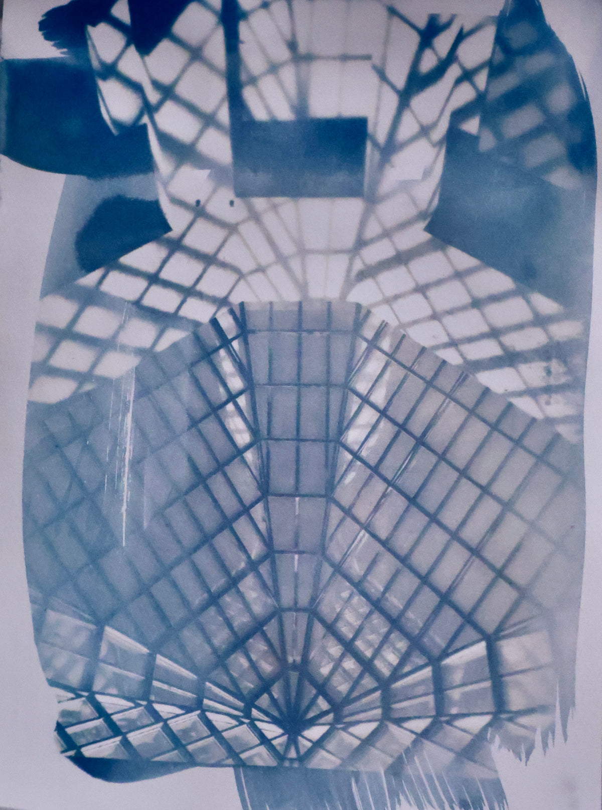 Shadows Original Cyanotype Print