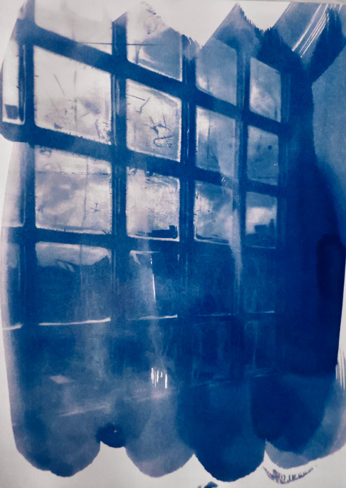 Windows Original Cyanotype Print
