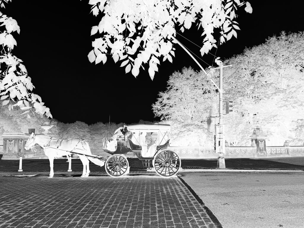 Carriage in Central Park Original Cyanotype Print